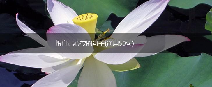 恨自己心软的句子(通用50句),第1张