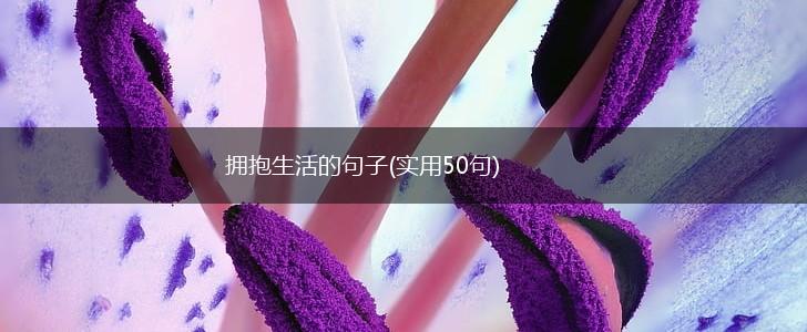 拥抱生活的句子(实用50句),第1张