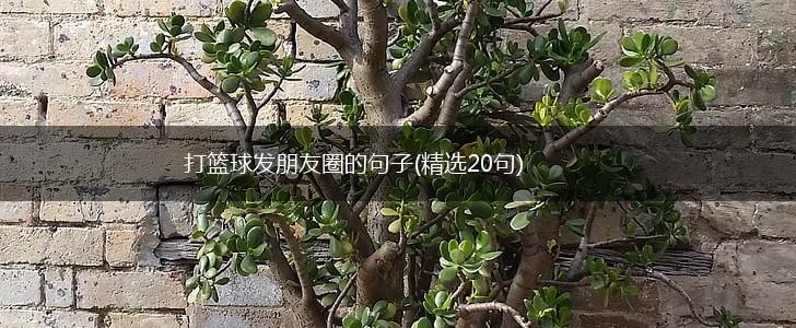 打篮球发朋友圈的句子(精选20句),第1张
