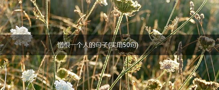 憎恨一个人的句子(实用50句),第1张