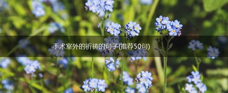 手术室外的祈祷的句子(推荐50句),第1张