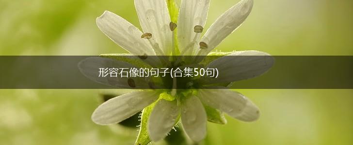 形容石像的句子(合集50句),第1张