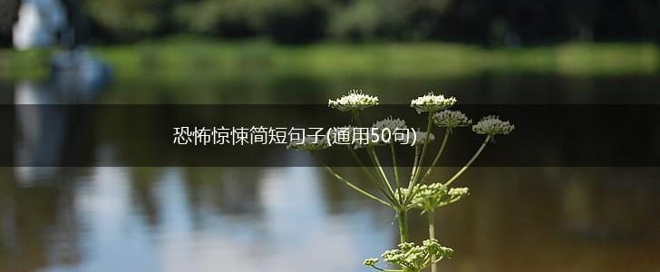 恐怖惊悚简短句子(通用50句),第1张