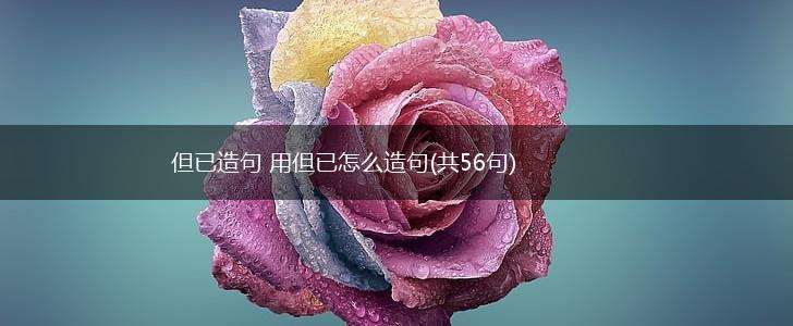 但已造句 用但已怎么造句(共56句),第1张