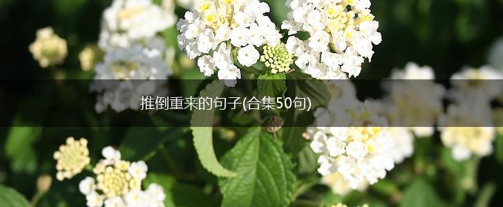 推倒重来的句子(合集50句),第1张