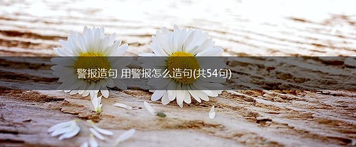 警报造句 用警报怎么造句(共54句),第1张