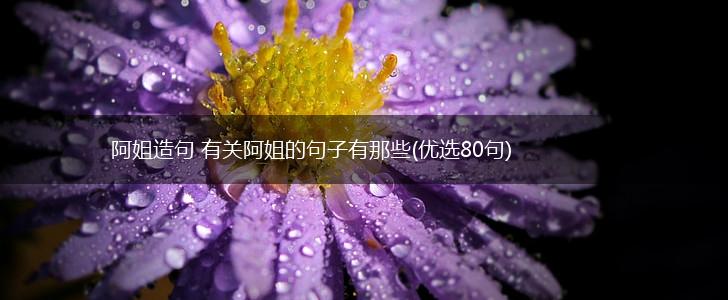 阿姐造句 有关阿姐的句子有那些(优选80句),第1张