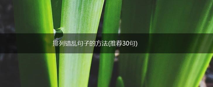 排列错乱句子的方法(推荐30句),第1张