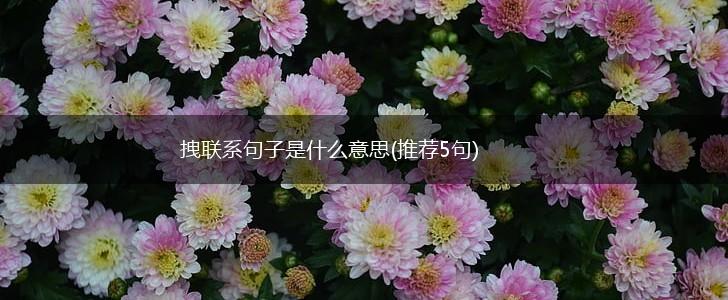 拽联系句子是什么意思(推荐5句),第1张
