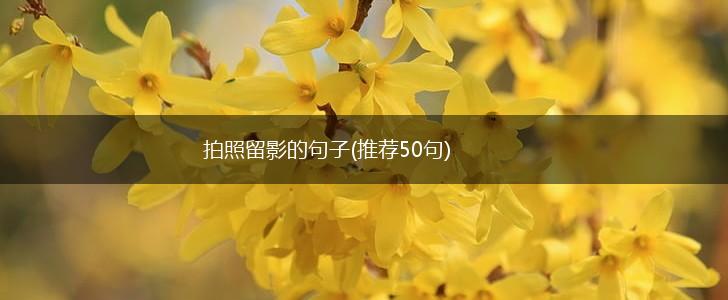拍照留影的句子(推荐50句),第1张