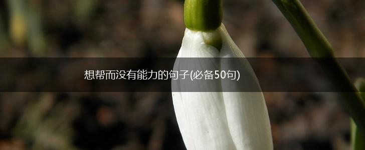 想帮而没有能力的句子(必备50句),第1张