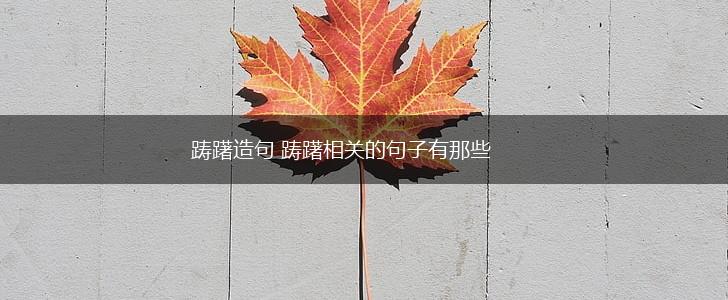 踌躇造句 踌躇相关的句子有那些,第1张