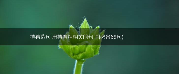 持着造句 用持着组相关的句子(必备69句),第1张