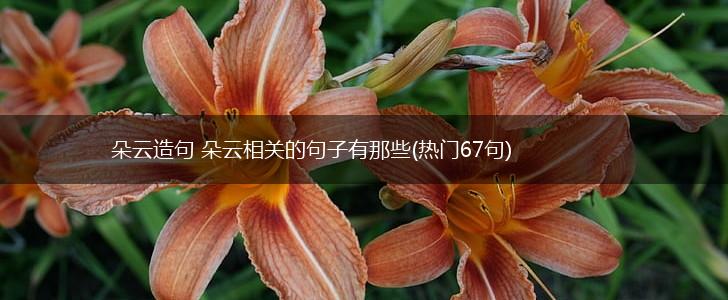 朵云造句 朵云相关的句子有那些(热门67句),第1张