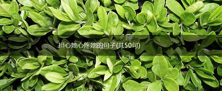 担心她心疼她的句子(共50句),第1张