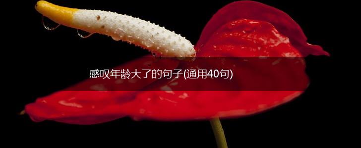 感叹年龄大了的句子(通用40句),第1张