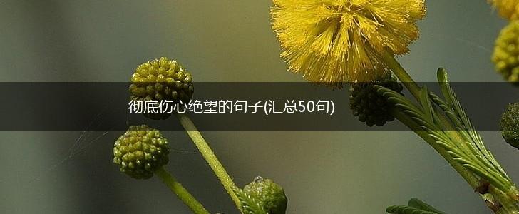 彻底伤心绝望的句子(汇总50句),第1张