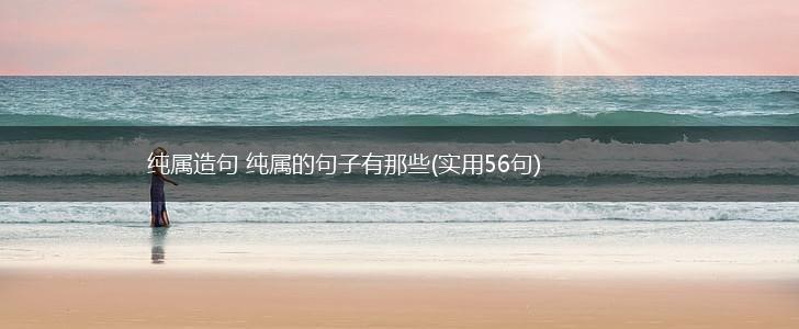 纯属造句 纯属的句子有那些(实用56句),第1张