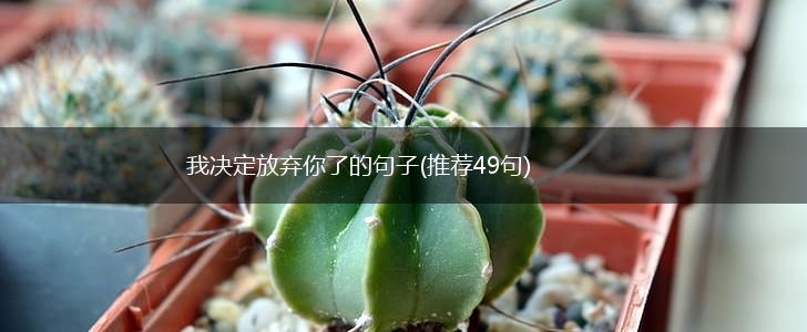 我决定放弃你了的句子(推荐49句),第1张