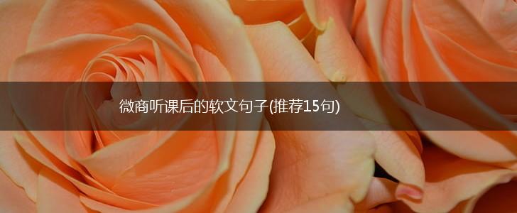 微商听课后的软文句子(推荐15句),第1张