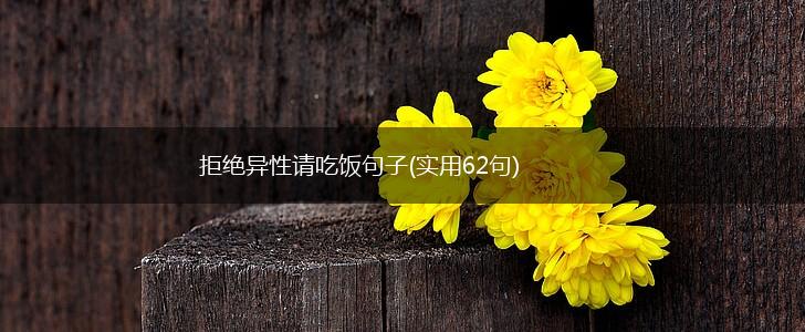 拒绝异性请吃饭句子(实用62句),第1张