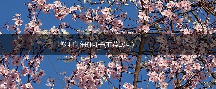 悠闲自在的句子(推荐10句),第1张