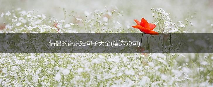 情侣的说说短句子大全(精选50句),第1张