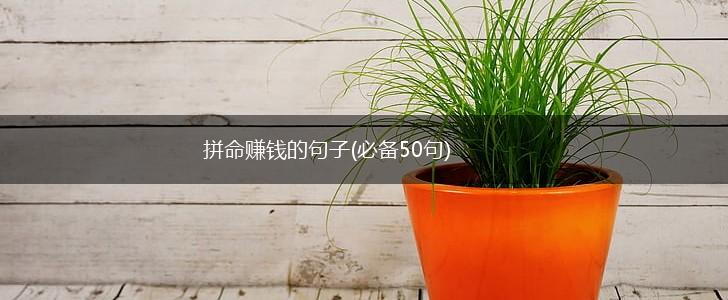 拼命赚钱的句子(必备50句),第1张