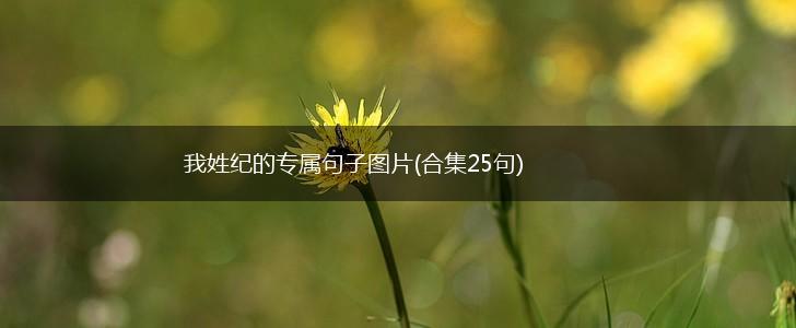 我姓纪的专属句子图片(合集25句),第1张