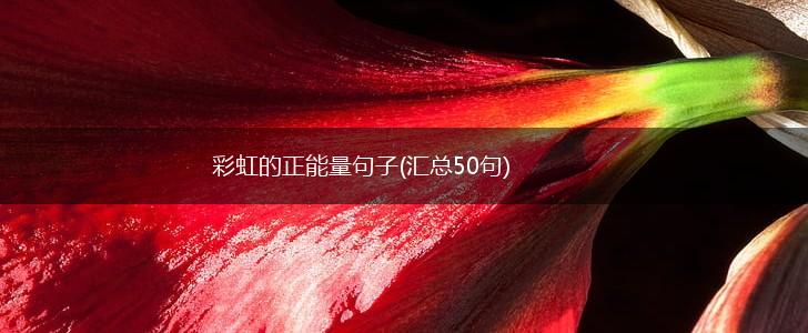 彩虹的正能量句子(汇总50句),第1张