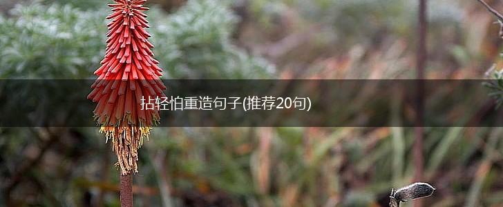 拈轻怕重造句子(推荐20句),第1张