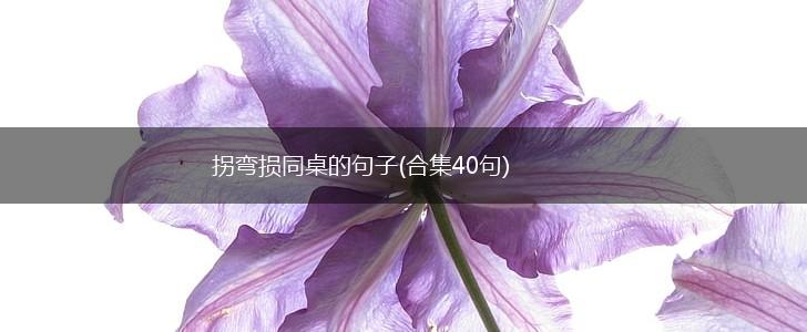 拐弯损同桌的句子(合集40句),第1张