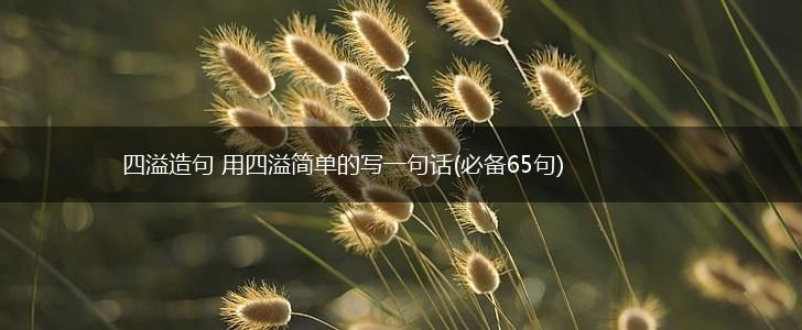 四溢造句 用四溢简单的写一句话(必备65句),第1张