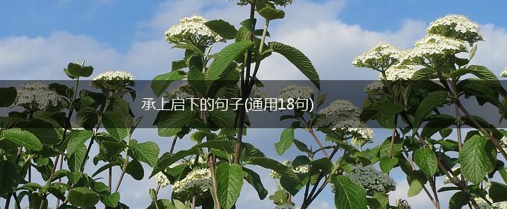 承上启下的句子(通用18句),第1张