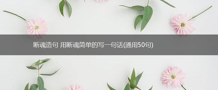 断魂造句 用断魂简单的写一句话(通用50句),第1张