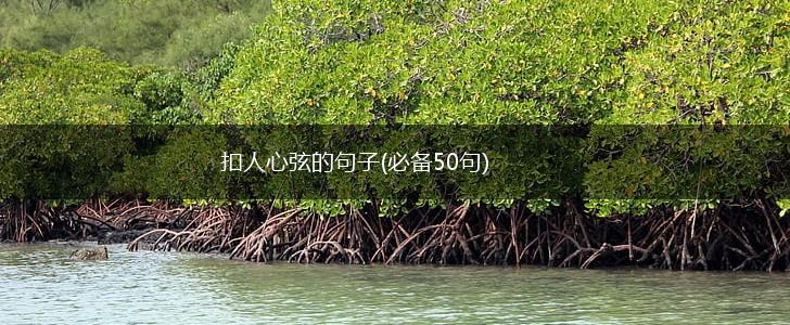 扣人心弦的句子(必备50句),第1张