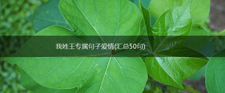 我姓王专属句子爱情(汇总50句),第1张