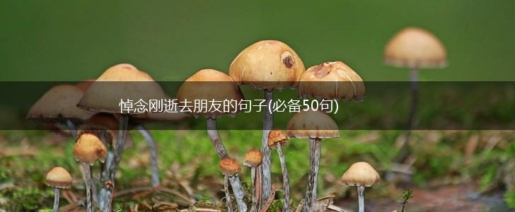 悼念刚逝去朋友的句子(必备50句),第1张