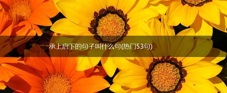 承上启下的句子叫什么句(热门53句),第1张