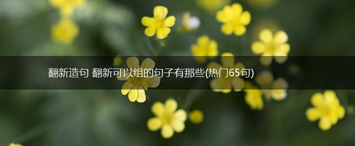 翻新造句 翻新可以组的句子有那些(热门65句),第1张