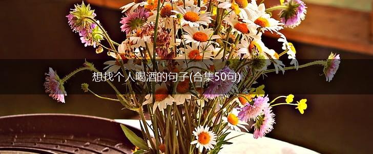 想找个人喝酒的句子(合集50句),第1张