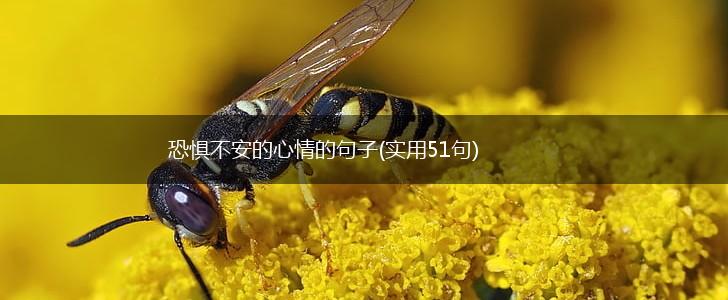 恐惧不安的心情的句子(实用51句),第1张