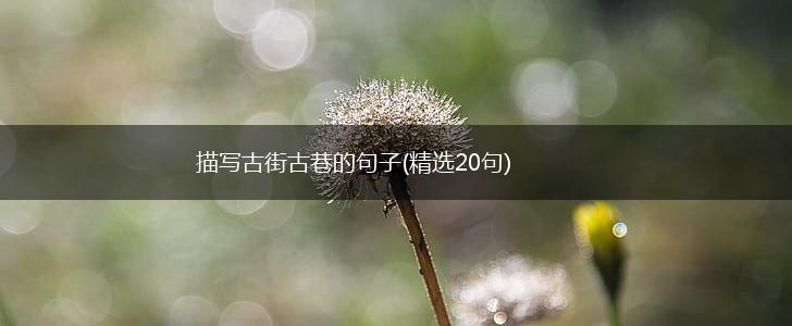 描写古街古巷的句子(精选20句),第1张