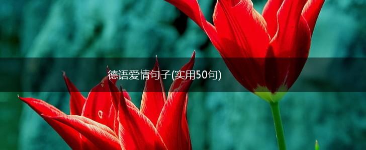 德语爱情句子(实用50句),第1张
