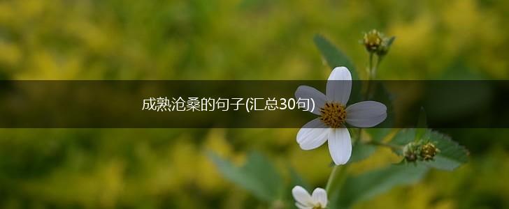 成熟沧桑的句子(汇总30句),第1张