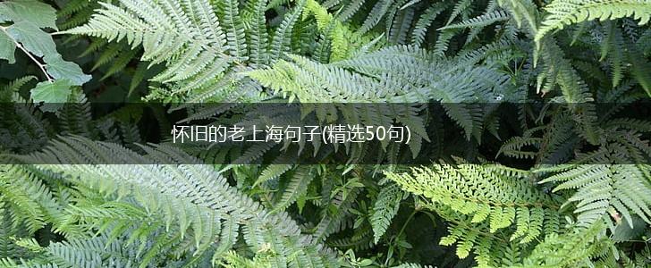 怀旧的老上海句子(精选50句),第1张