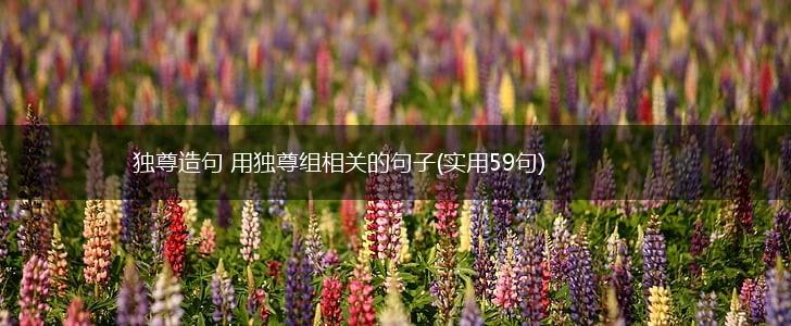 独尊造句 用独尊组相关的句子(实用59句),第1张