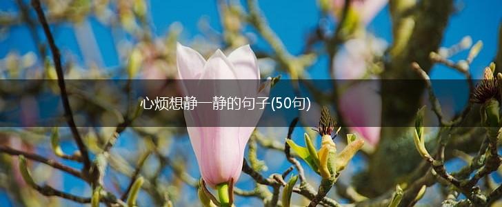 心烦想静一静的句子(50句),第1张