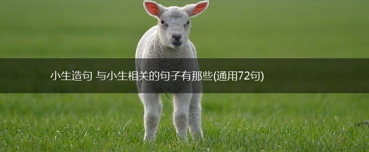 小生造句 与小生相关的句子有那些(通用72句),第1张