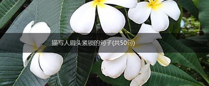 描写人眉头紧锁的句子(共50句),第1张